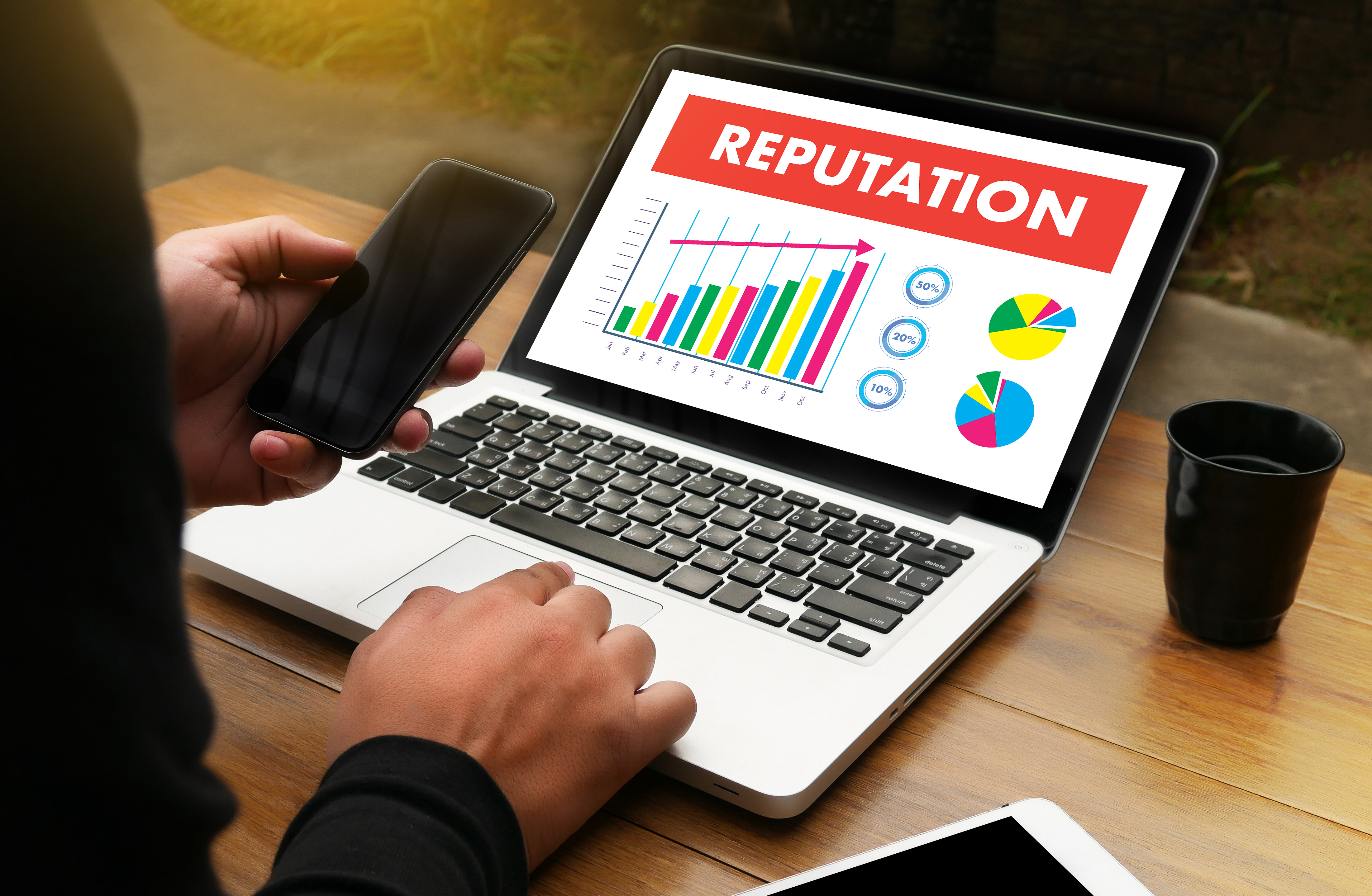 client using a laptop and smartphone, laptop screen has an image titled Reputation with a bar graph indicating improvement and pie charts.